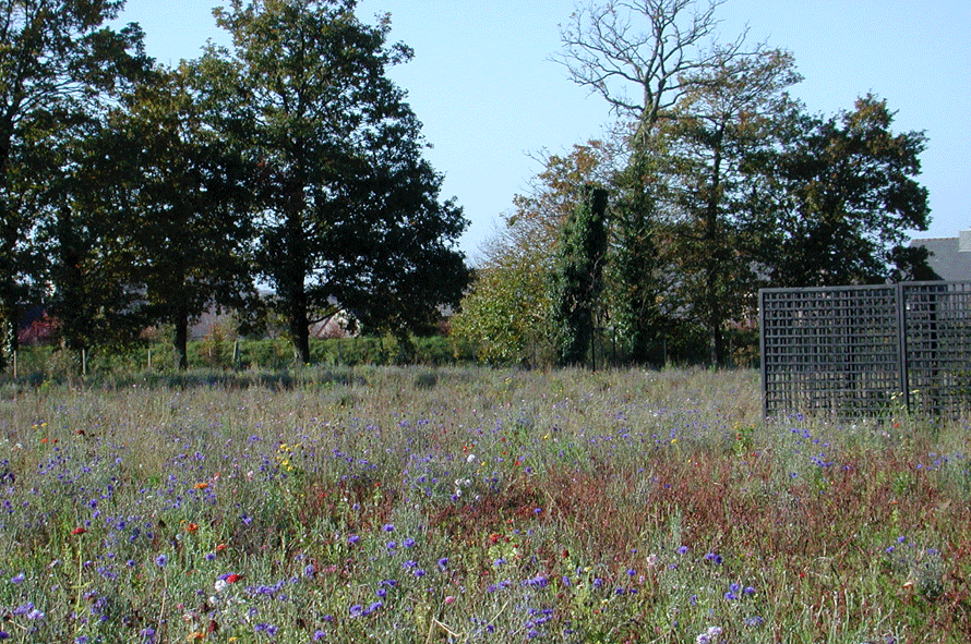 Le nouveau cimetière de Vincé, phase#1