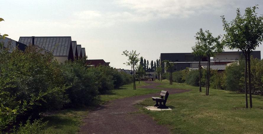 atelier-architecture-philippe-paysage-des-quartiers-mondonin-et-beausoleil-pace-35-1926.jpg